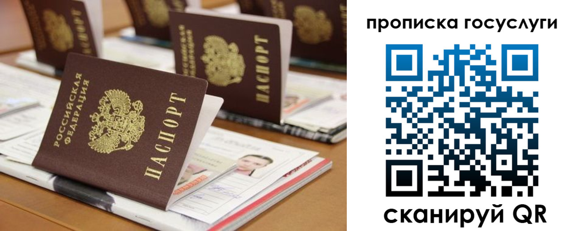 регистрация для дет. сада в Курганской области